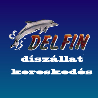 Delfin Díszállat kereskedés